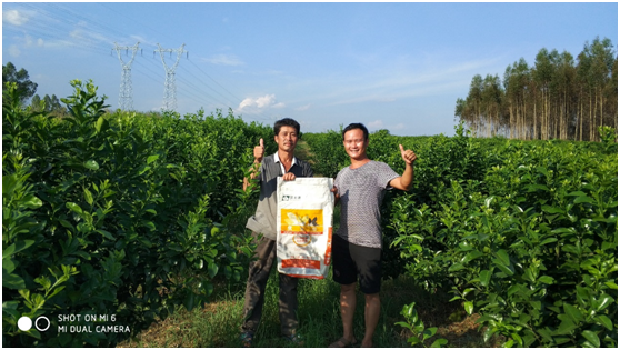 优生壮大树绿叶促秋梢示范基地