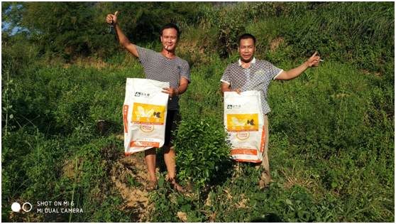 优生壮小树提苗促生长示范基地